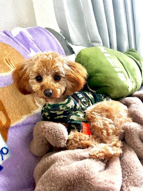 4月のシフト