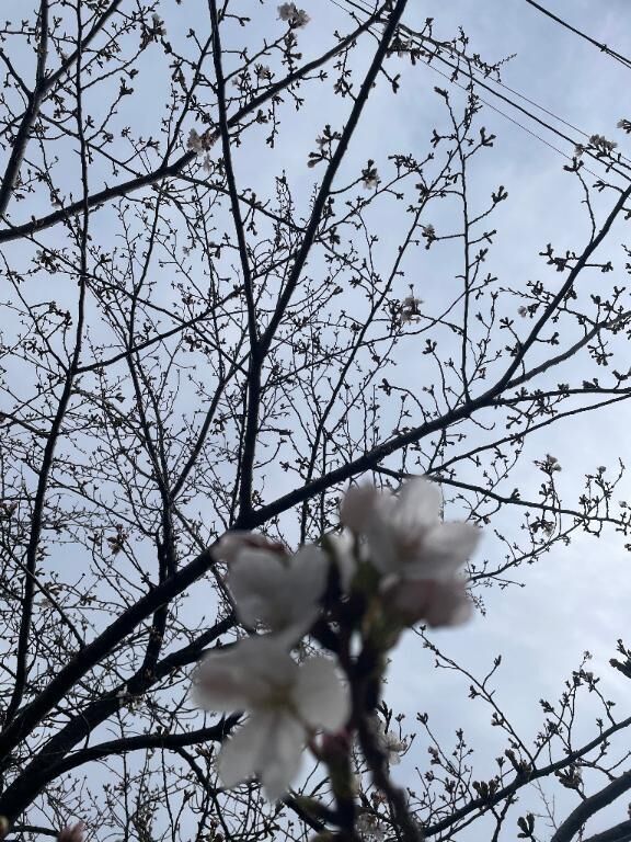 本日出勤です&#129392;