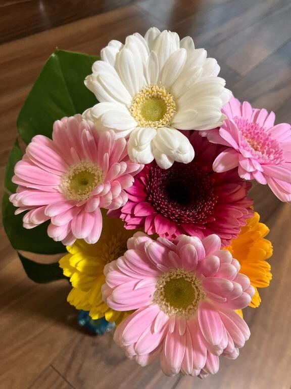 お花を