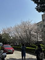 みゆうです♡