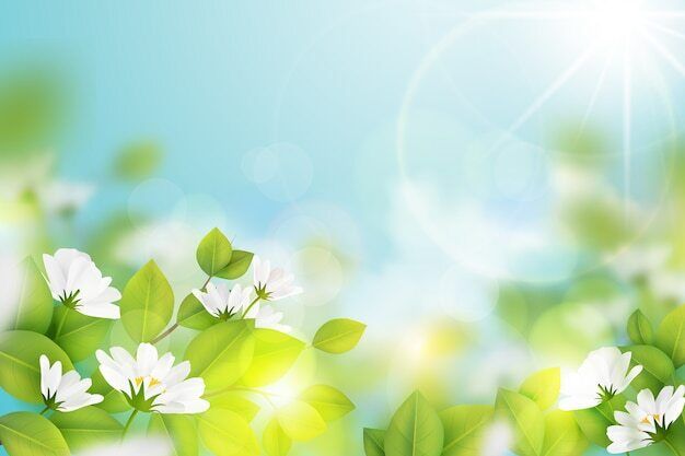 28日(金)　16時　&#9825;様