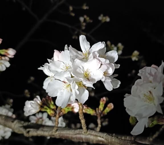 こんばんは&#9825;