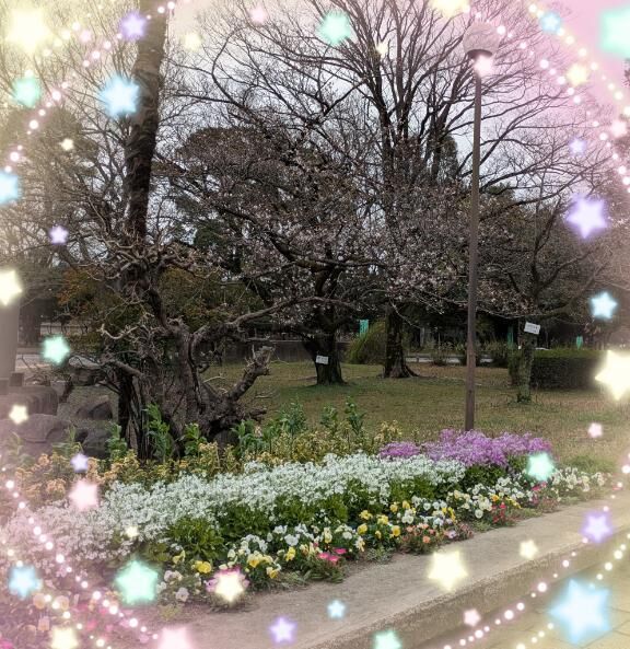 [お題]from:kimieriharさん