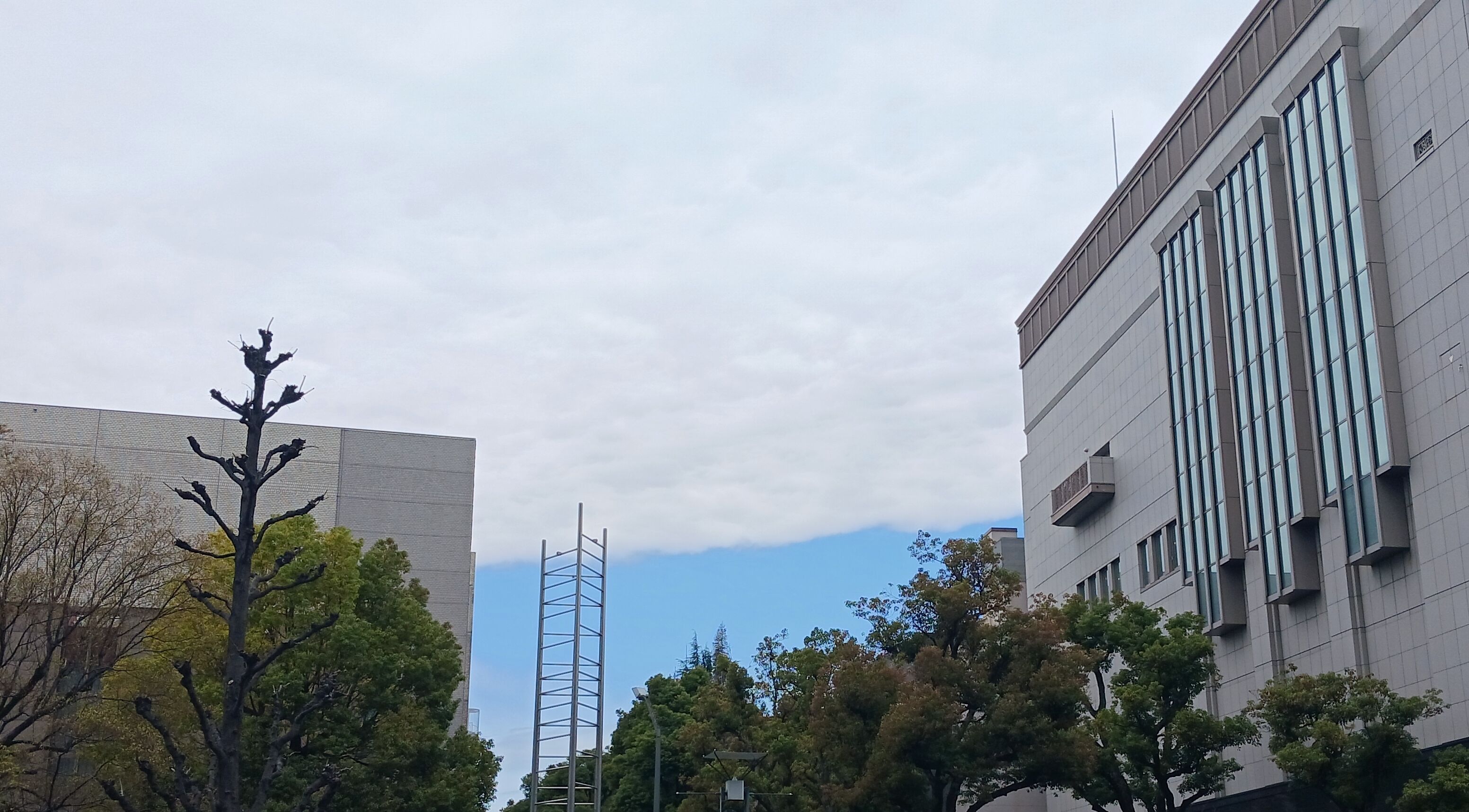 幻想的な空