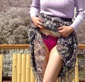 ほたるの人妻川柳日記 (お花見シーズン)