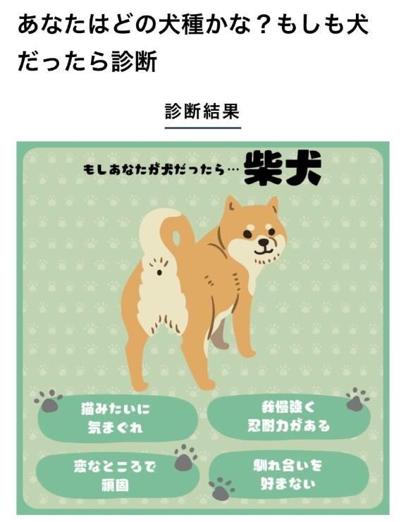 私がもし犬だったら…&#9825;&#9825;