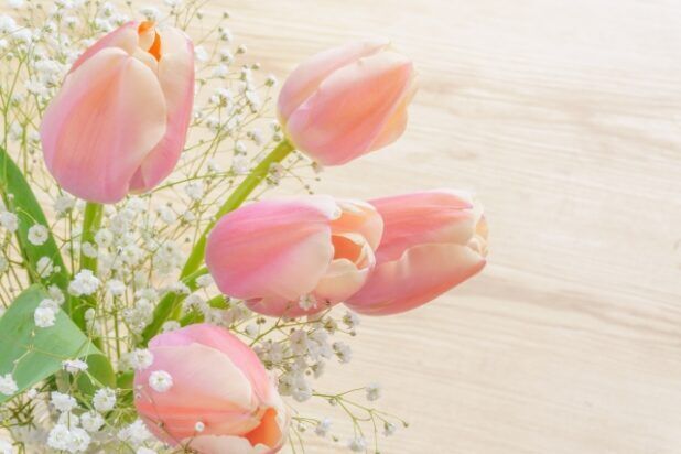 29日(土)　12時50分　&#9825;様