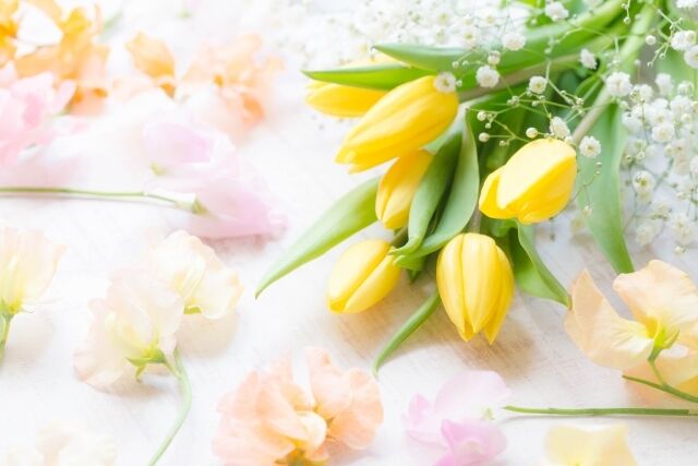 29日(土)　16時　&#9825;様