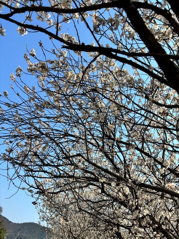 かなでの秘密の癒し(* ´  ` *)&#5149;
