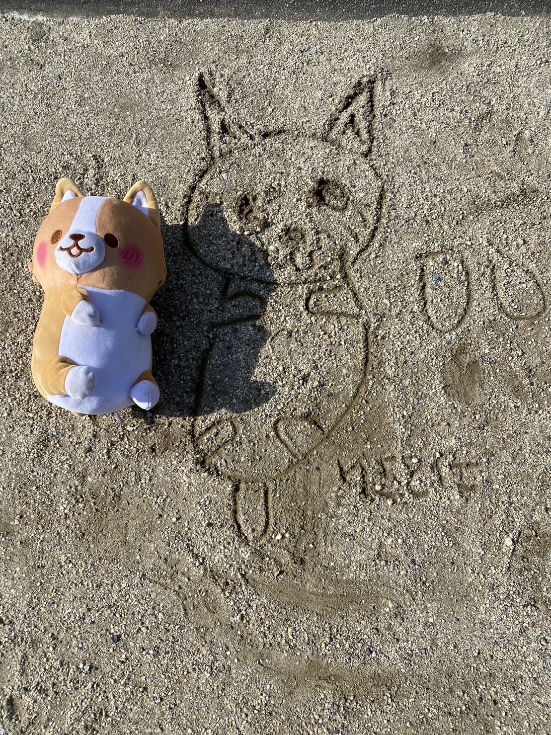 ありがとうございました(*^-゜)vThanks!