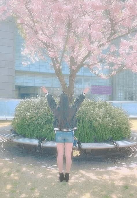 もう桜は見に行った？