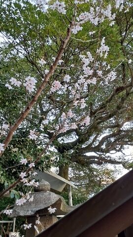 ３月２８日のお礼メール&#9825;&#9825;&#9825;&#9825;です。&#9825;