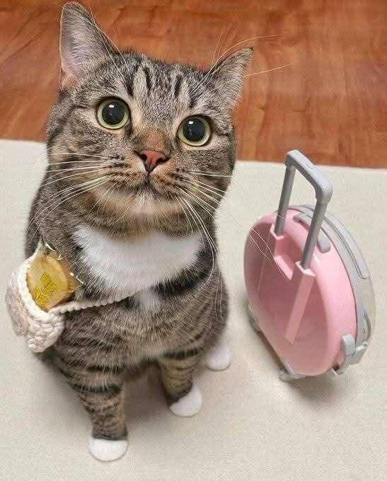 おはよう(^^*)