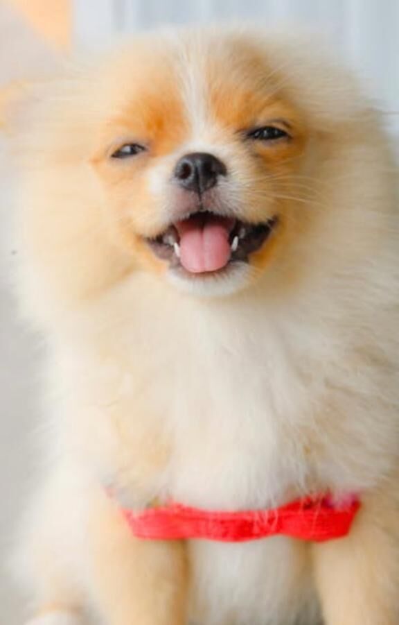 出勤します&#128522;