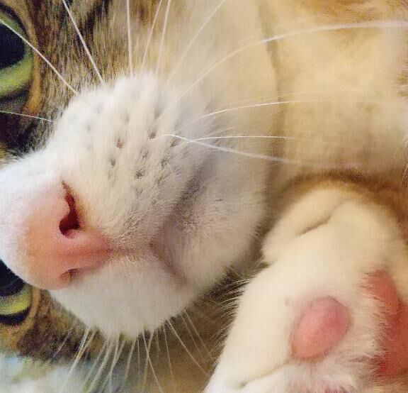 おはようございます&#9825;