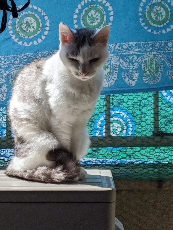 欲するもの