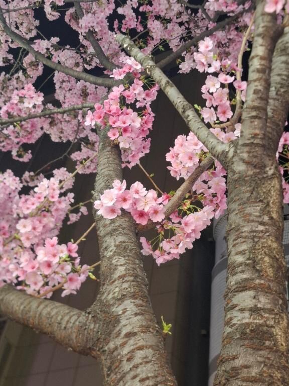4月の出勤&#128161;