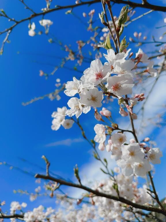 辰年のお客様♡