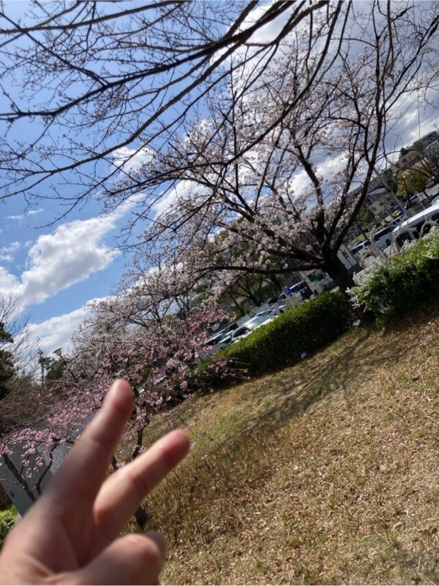 日曜日