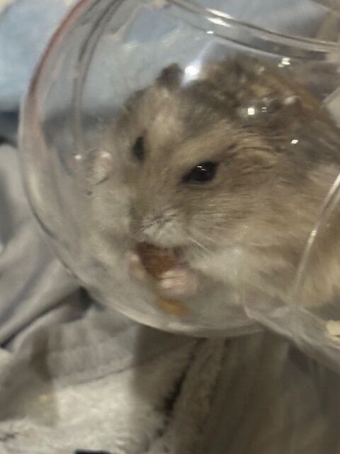 こんにちは