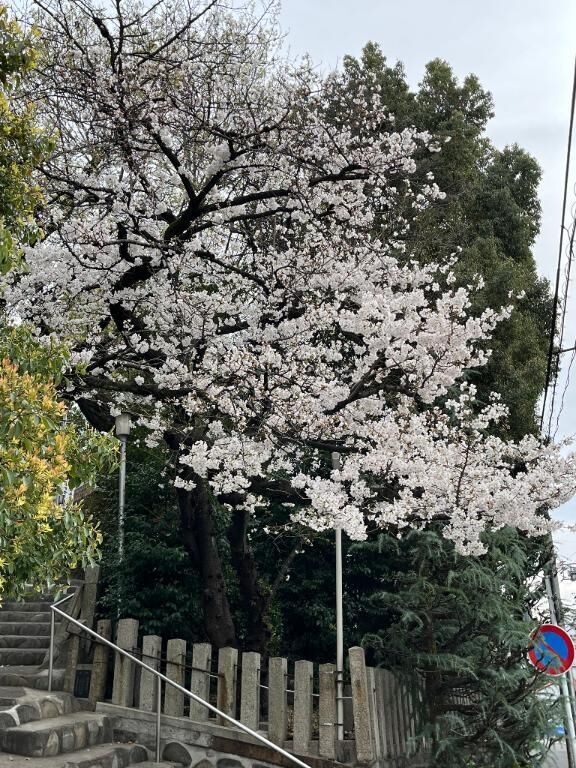 お休み満喫して来ました