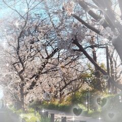 こはる便り・・