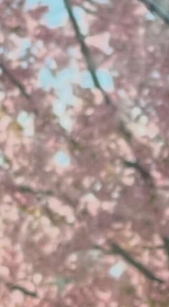 よろしくお願いします