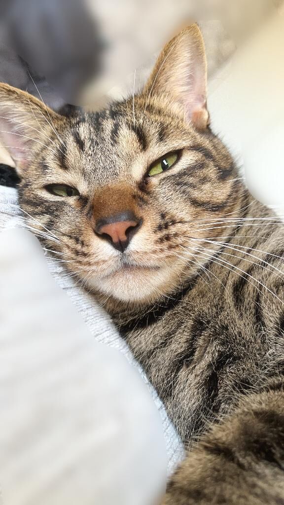 受付終了だよ&#128049;