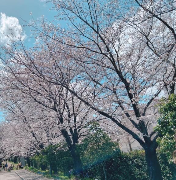 大きくて…かたい…&#9825;&#9825;