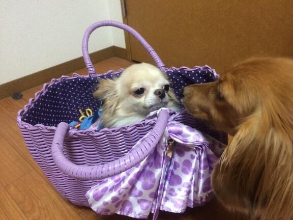 ３月おわり&#x301C;&#9825;