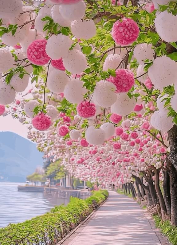 おはようございます☀️