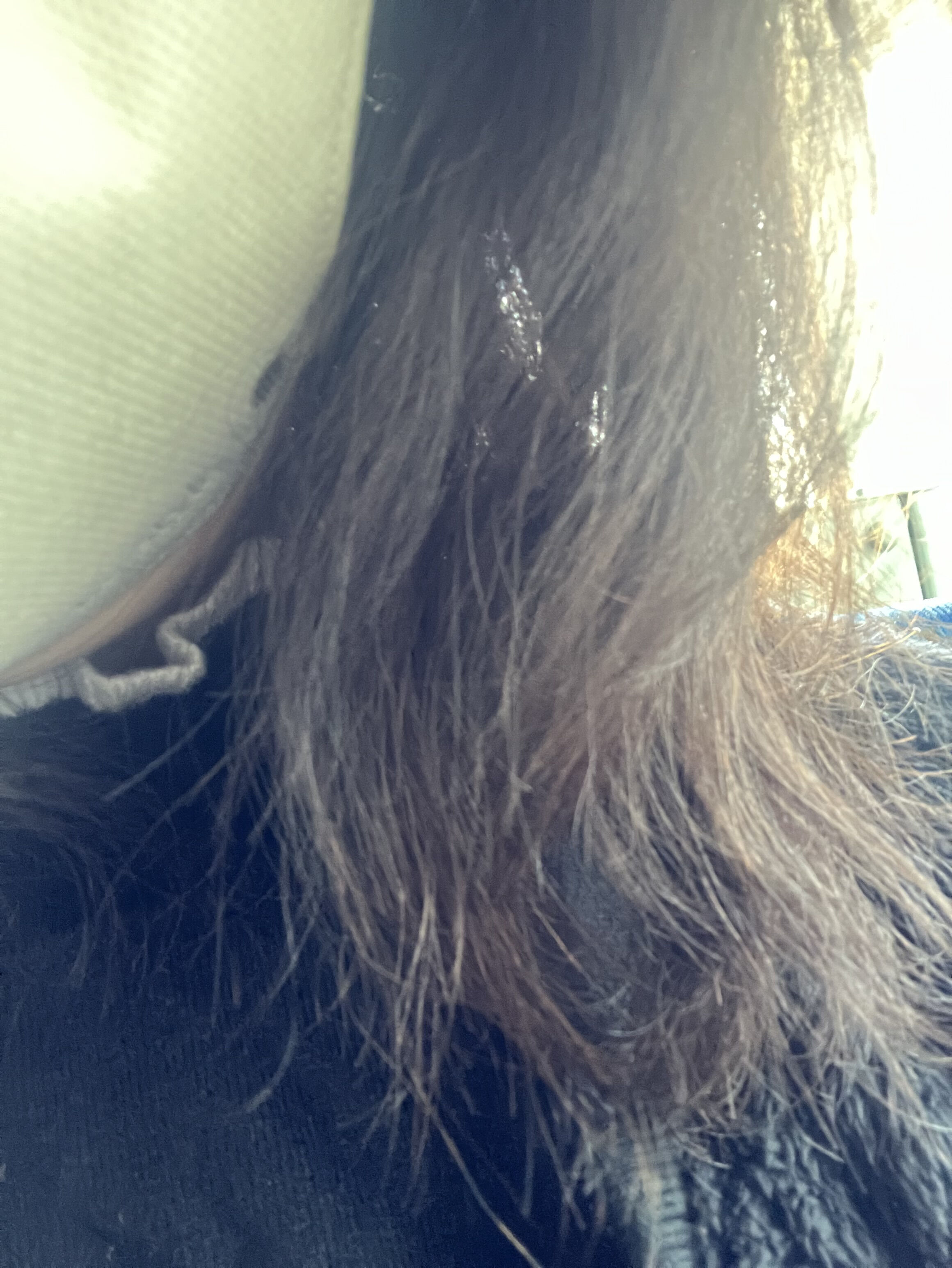 今日