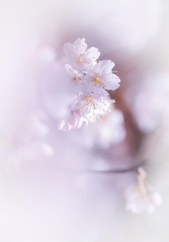 &#9825;