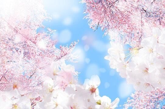 今日で。