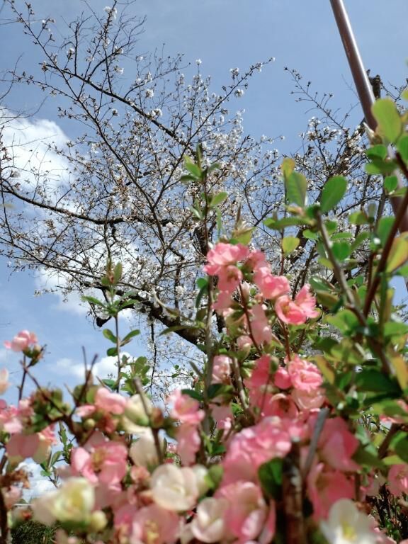 今日は&#9825;