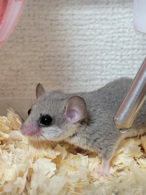 おはようございます(*^o^*)