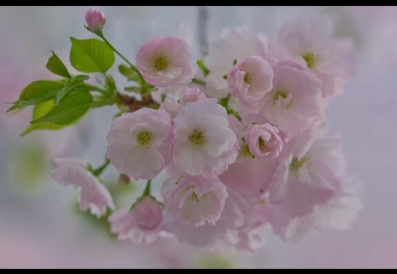 [お題]from:kimieriharさん