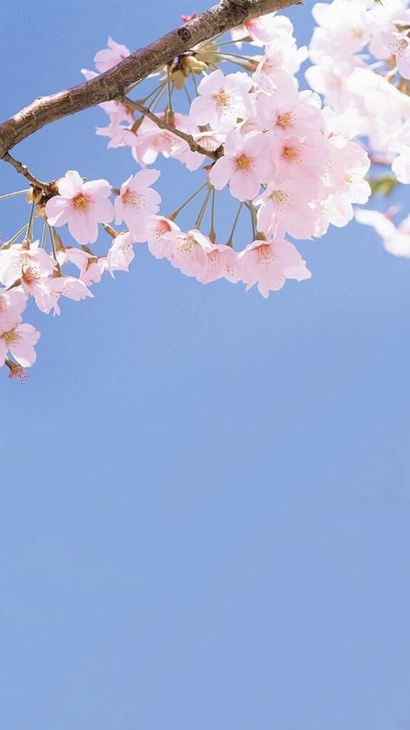 1年あっという間&#9825;