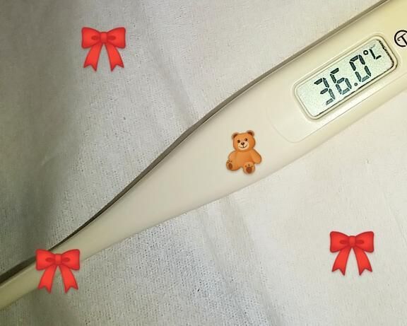 &#10024;&#129528;測ってみました&#129528;&#10024;