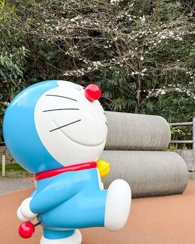こんにちは♪
