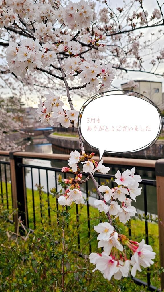 3月のありがとう