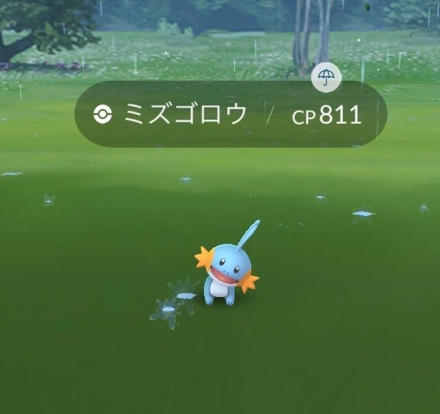 &#10084;&#65039;公式LINE作りました&#10084;&#65039;