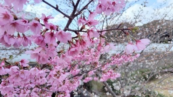 3月