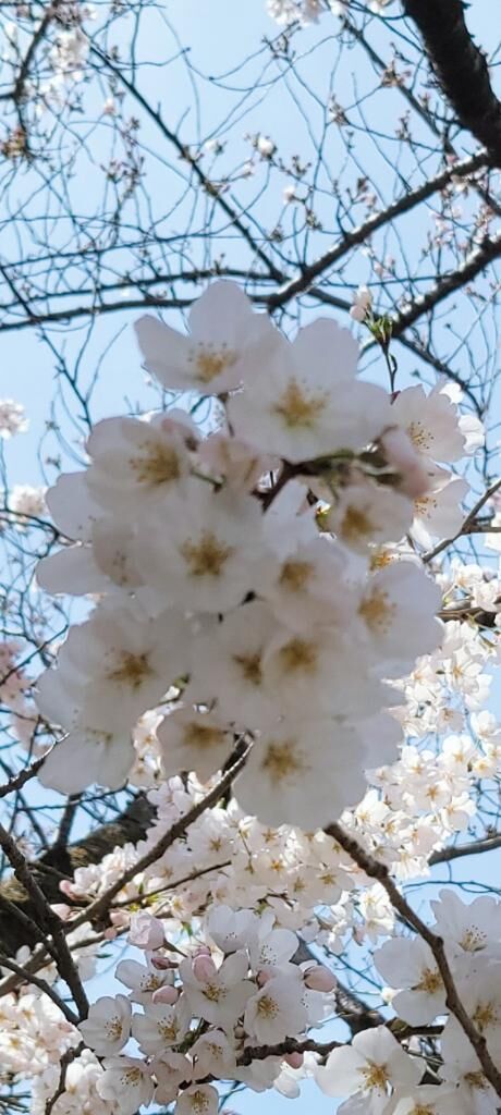 こんばんは&#9825;