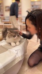出勤します★