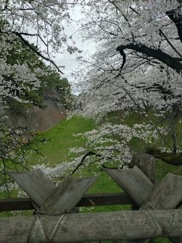 ありがとう&#9825;