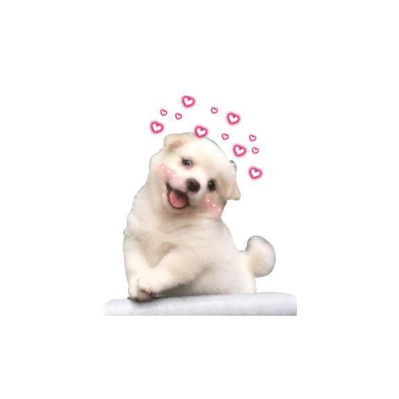 たくさん…