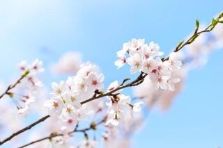 おはようございます