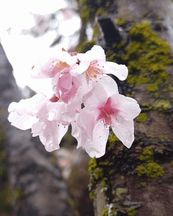 4月