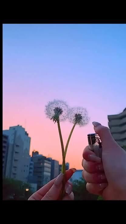 予約ありがとうう